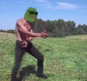 480x452