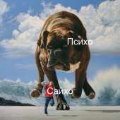 587x587