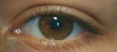 600x275