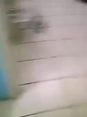 270x360