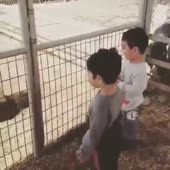 360x360