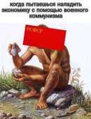 423x553