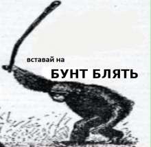 595x581