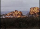 490x360