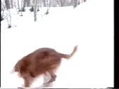 480x360