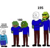 800x778