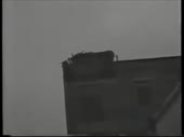 480x360