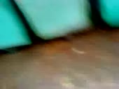 320x240