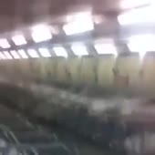 360x360