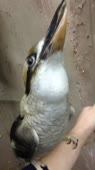360x640