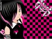 1200x906