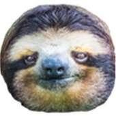 900x900