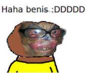 600x510