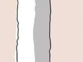 259x194