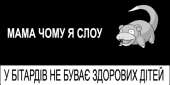 500x250