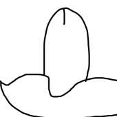 400x400