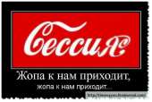 500x338