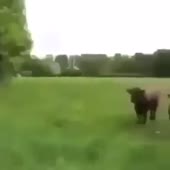 360x360