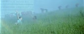 640x262