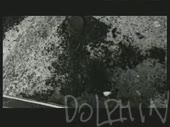 320x240