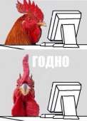 530x737