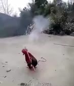 310x360