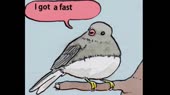 460x258