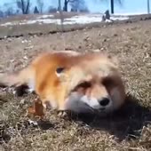 360x360