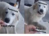 500x366