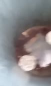360x600