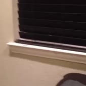 360x360