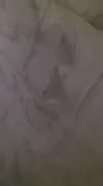 202x360