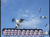 490x360