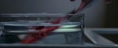 1280x532