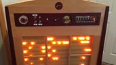 800x450