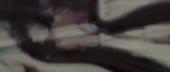 640x274