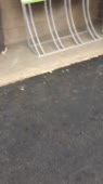 640x1136
