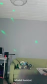 720x1280