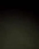 292x360