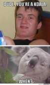 362x604