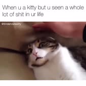 360x360