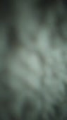 202x360