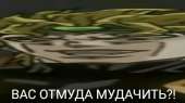 600x337