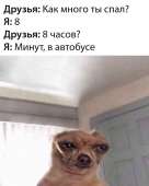 530x660