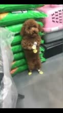 360x640