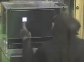 320x240