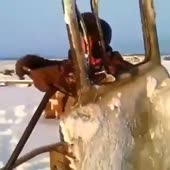 360x360