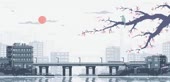 500x242