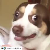 360x360