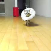 360x360
